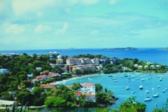 IMG000611_0