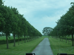 IMG_0070