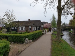 2025-ok-NL-22