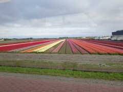 2025-ok-NL-54