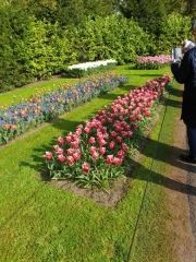 2025-ok-NL-69