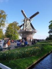 2025-ok-NL-71