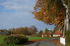 P1000022