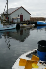 P1000147a