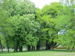 okudflugttilLollandden7520140071_0