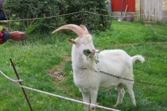 IMG00041_0