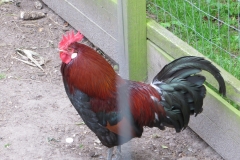 IMG00081_0