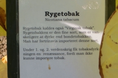 IMG00531_0
