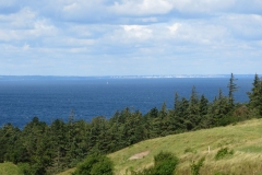 IMG00571_0