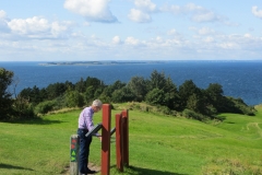 IMG00661_0