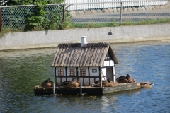 IMG00741_0