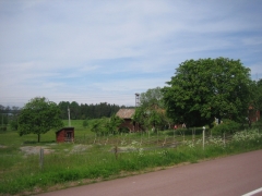 Billede 179