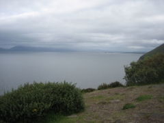 Billede 077