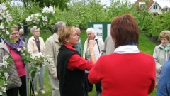 Sknelandene20100371_0