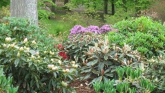 Sknelandene20100511_0