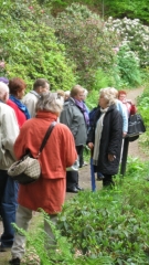 Sknelandene20100611_0