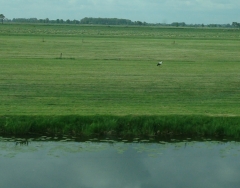 026d2Stork1_0
