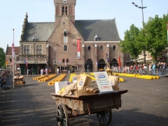 172d4Osteklartilsalg1_0