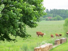 OK Præstø  med 65 ferie til Sverige 16-6 til 20- 6 - 2013 033