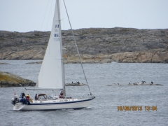 OK Præstø  med 65 ferie til Sverige 16-6 til 20- 6 - 2013 194