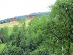 IMG_0021
