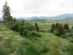 IMG_0019
