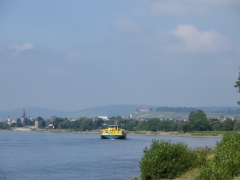 IMG_0021