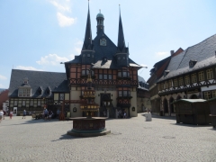 IMG_0114